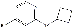 4-broMo-2-cyclobutoxypyridine CAS#: 1142194-51-1