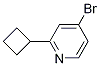 4-broMo-2-cyclobutylpyridine CAS#: 1142194-11-3