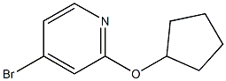 4-broMo-2-(cyclohexyloxy)pyridine CAS#: 1142194-54-4