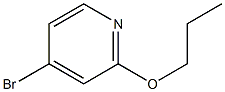 4-broMo-2-propoxypyridine CAS#: 1142194-49-7