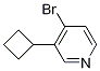 4-broMo-3-cyclobutylpyridine CAS#: 1314353-64-4