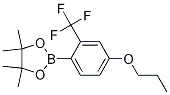 4,4,5,5-TetraMethyl-2-(4-propoxy-2-(trifluoroMethyl)phenyl)-1,3,2-dioxaborolane CAS#: 1186482-12-1