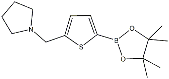 5-(1-Pyrrolidinylmethyl)thiophene-2-boronic acid pinacol ester CAS#: 1218790-45-4