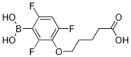 5-(3-Borono-2,4,6-trifluorophenoxy)pentanoic acid CAS#: 1072946-61-2