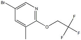5-Bromo-3-methyl-2-(2,2,2-trifluoroethoxy)pyridine CAS#: 1187930-58-0