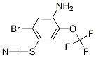 5-Bromo-4-thiocyanato-2-(trifluoromethoxy)aniline CAS#: 1133115-30-6