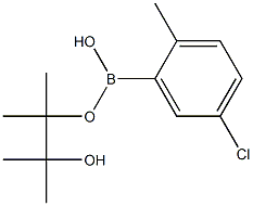 5-Chloro-2-Methylphenylboronic acid, pinacol ester CAS#: 1352426-91-5