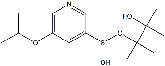 5-Isopropoxypyridine-3-boronic acid pinacol ester CAS#: 1171892-42-4