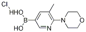 5-Methyl-6-morpholinopyridin-3-ylboronic acidhydrochloride CAS#: 1231955-78-4