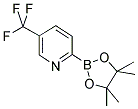 5-TRIFLUOROMETHYLPYRIDINE-2-BORONIC ACID PINACOL ESTER CAS#: 1101205-23-5