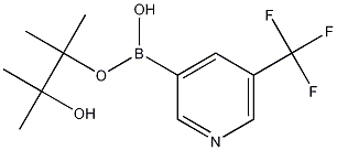 5-Trifluoromethylpyridine-3-boronic acid pinacol ester CAS#: 1084953-47-8
