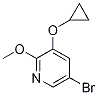 5-broMo-3-cyclopropoxy-2-Methoxypyridine CAS#: 1243318-48-0