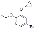 5-broMo-3-cyclopropoxy-2-isopropoxypyridine CAS#: 1243467-36-8