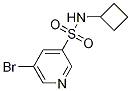 5-broMo-N-cyclobutylpyridine-3-sulfonaMide CAS#: 1248222-65-2