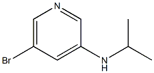 5-broMo-N-isopropylpyridin-3-aMine CAS#: 1201643-57-3