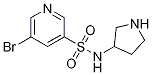 5-broMo-N-(pyrrolidin-3-yl)pyridine-3-sulfonaMide CAS#: 1248735-81-0