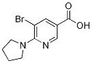 5-bromo-6-pyrrolidin-1-ylnicotinic acid CAS#: 1187930-16-0