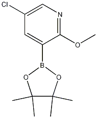 5-chloro-2-methoxy-3-(4,4,5,5-tetramethyl-1,3,2-dioxaborolan-2-yl)pyridine CAS#: 1083168-96-0