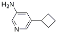 5-cyclobutylpyridin-3-aMine CAS#: 1314355-68-4