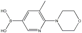 5-methyl-6-morpholinopyridin-3-ylboronic acid CAS#: 1191062-85-7