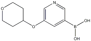5-(tetrahydro-2H-pyran-4-yloxy)pyridin-3-ylboronic acid CAS#: 1103862-08-3