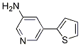 5-(thiophen-2-yl)pyridin-3-aMine CAS#: 1226415-45-7