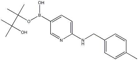 6-(4-METHYLBENZYLAMINO)PYRIDINE-3-BORONIC ACID PINACOL ESTER CAS#: 1073354-32-1
