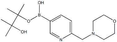 6-(4-MorpholinylMethyl)pyridine-3-boronic acid pinacol ester CAS#: 1160790-92-0