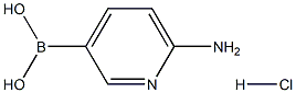 (6-Aminopyridin-3-yl)boronic acid hydrochloride CAS#: 1309982-15-7
