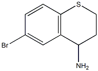 6-BroMothiochroMan-4-aMine CAS#: 1097804-55-1