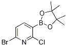 6-Bromo-2-chloro-3-(4,4,5,5-tetramethyl-1,3,2-dioxaborolan-2-yl)pyridine CAS#: 1247726-85-7