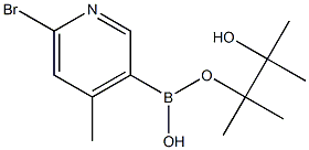 6-Bromo-4-methylpyridine-3-boronic acid pinacol ester CAS#: 1309982-23-7