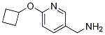 (6-CYCLOBUTOXYPYRIDIN-3-YL)METHANAMINE CAS#: 1247205-52-2