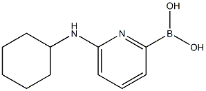 6-(CYCLOHEXYLAMINO)PYRIDINE-2-BORONIC ACID CAS#: 1310384-86-1