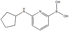 6-(CYCLOPENTYLAMINO)PYRIDINE-2-BORONIC ACID CAS#: 1310383-06-2