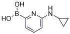 6-(CYCLOPROPYLAMINO)PYRIDINE-2-BORONIC ACID CAS#: 1309982-29-3