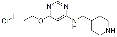 (6-Ethoxy-pyriMidin-4-yl)-piperidin-4-ylMethyl-aMine hydrochloride CAS#: 1353966-73-0