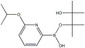 6-(ISO-PROPOXY)PYRIDINE-2-BORONIC ACID PINACOL ESTER CAS#: 1310383-08-4