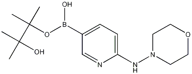 6-(Morpholin-4-ylamino)pyridine-3-boronic acid pinacol ester CAS#: 1073354-38-7