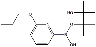 6-(N-PROPOXY)PYRIDINE-2-BORONIC ACID PINACOL ESTER CAS#: 1309982-31-7