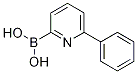 6-Phenylpyridine-2-boronic acid CAS#: 1218790-96-5