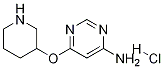6-(Piperidin-3-yloxy)-pyriMidin-4-ylaMine hydrochloride CAS#: 1353973-01-9