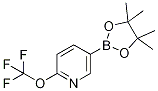 6-TrifluoroMethoxypyridine-3-boronic acid pinacol ester CAS#: 1352741-13-9