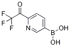 6-Trifluoroacetylpyridine-3-boronic acid CAS#: 1310384-03-2