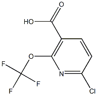 6-chloro-2-(trifluoroMethoxy)nicotinic acid CAS#: 1221171-91-0