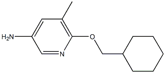 6-(cyclohexylMethoxy)-5-Methylpyridin-3-aMine CAS#: 1248601-77-5