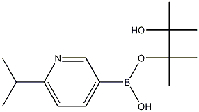 6-isopropylpyridine-3-boronic acid pinacol ester CAS#: 1105665-37-9