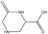 6-oxopiperazine-2-carboxylic acid CAS#: 1246552-66-8