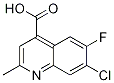 7-Chloro-6-fluoro-2-Methyl-quinoline-4-carboxylic acid CAS#: 1313712-73-0