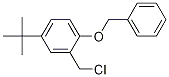 Benzene, 2-(chloroMethyl)-4-(1,1-diMethylethyl)-1-(phenylMethoxy)- CAS#: 1246213-43-3